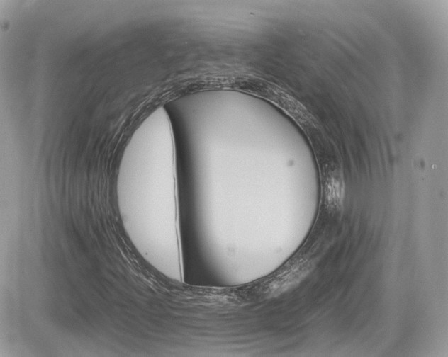 X0000082201204200701191041