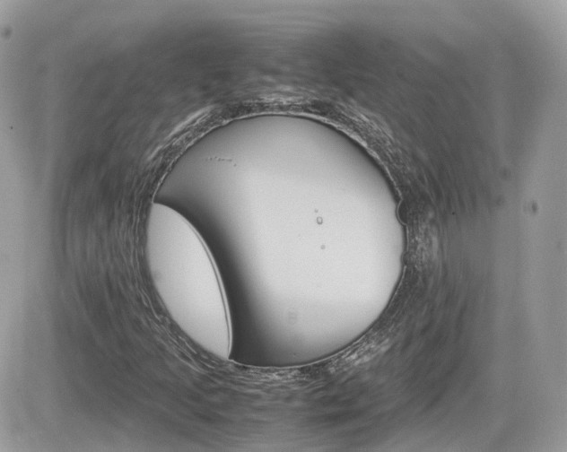 X0000082201205200701191041