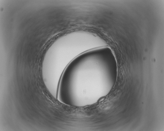 X0000082201206200701191041