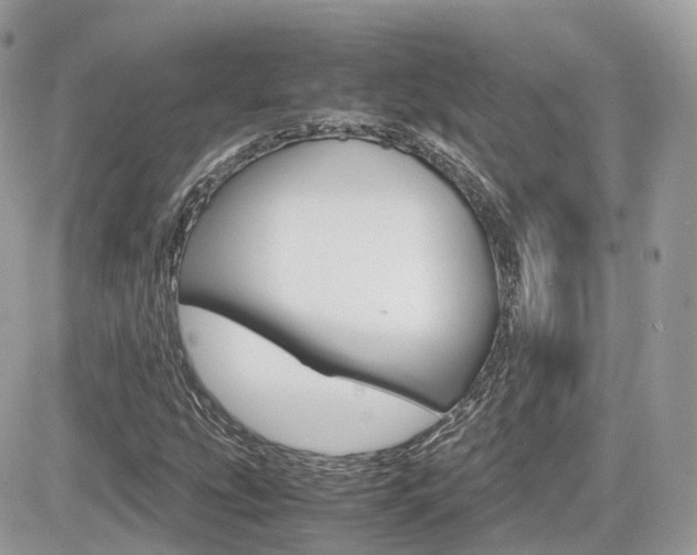 X0000082201207200701191041