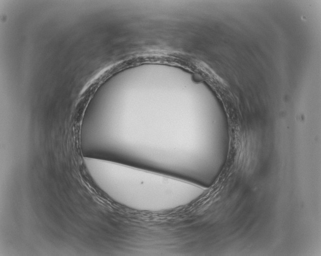 X0000082201208200701191041