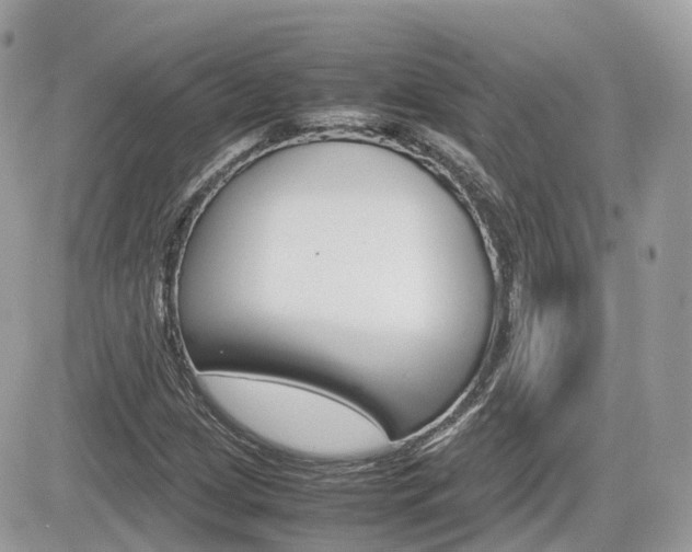 X0000082201209200701191041