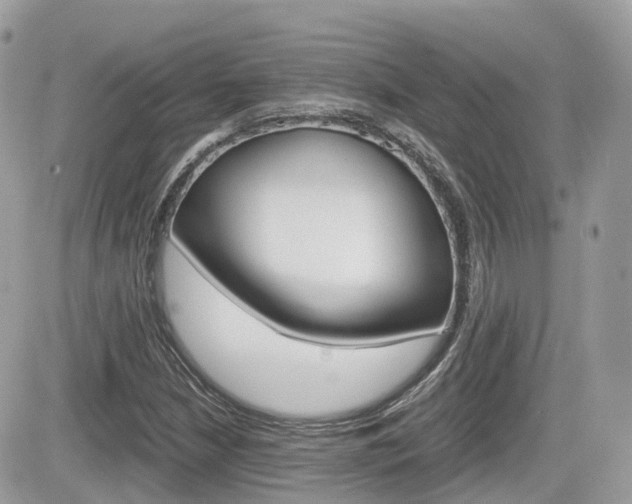 X0000082201210200701191041