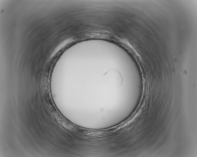 X0000082201211200701191041