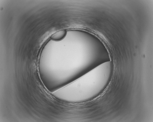 X0000082201212200701191042