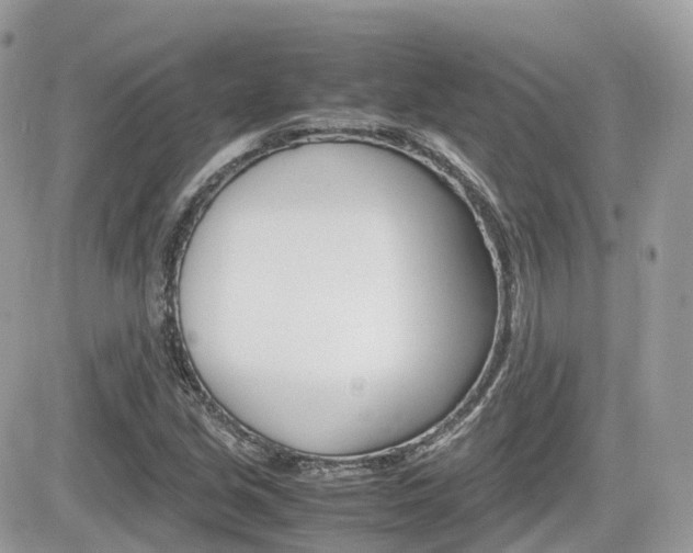 X0000082201213200701191042