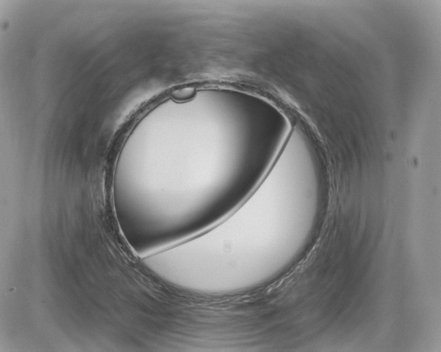 X0000082201214200701191042