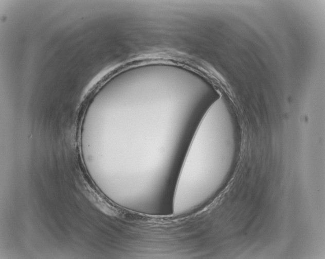 X0000082201216200701191042