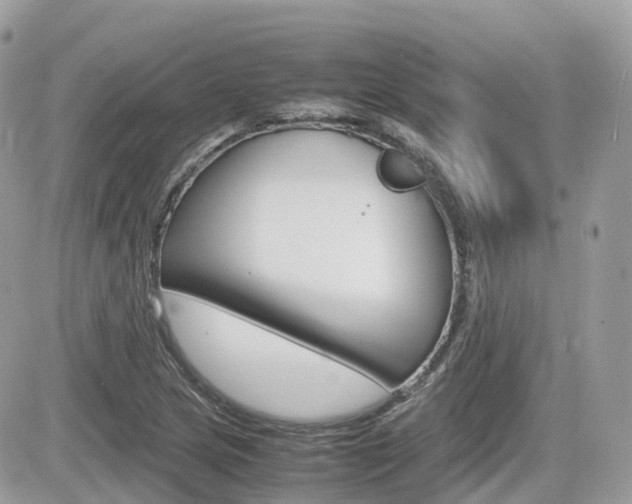 X0000082201217200701191042
