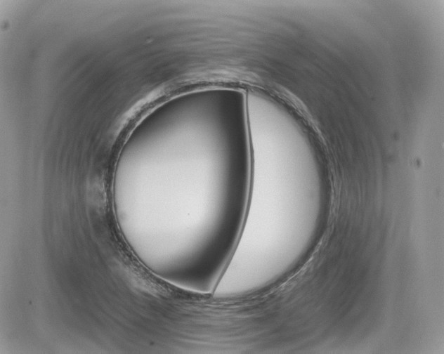 X0000082201218200701191042
