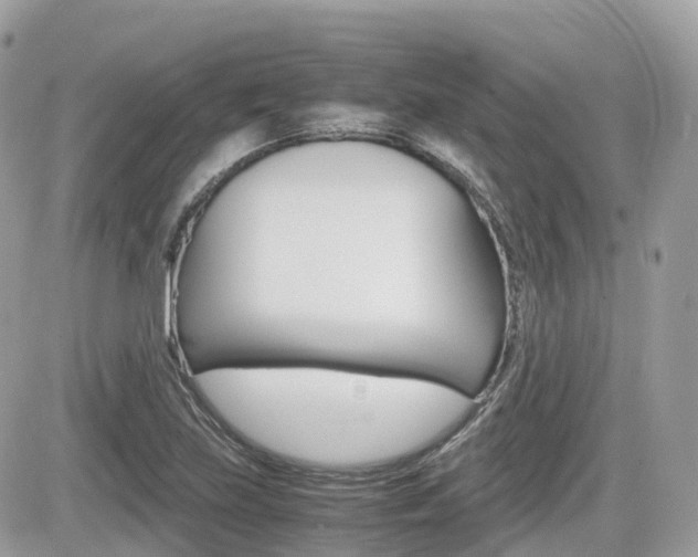 X0000082201219200701191042