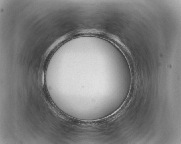X0000082201221200701191042