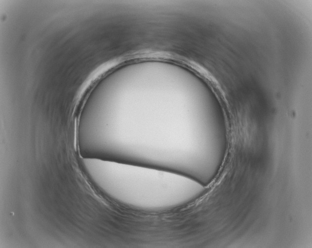 X0000082201223200701191042