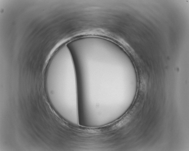 X0000082201224200701191042