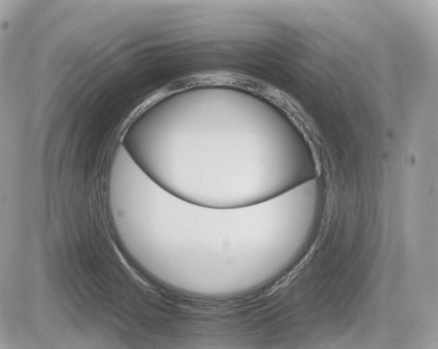 X0000082201225200701191042