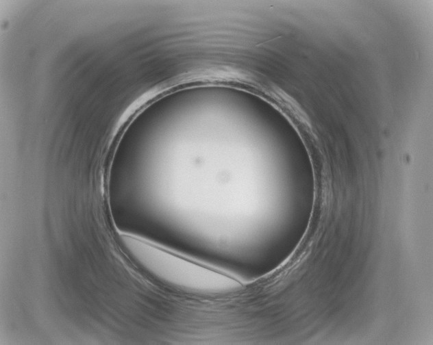X0000082201226200701191042