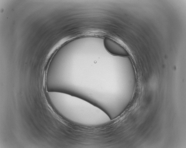 X0000082201227200701191042