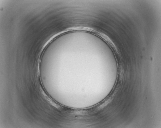 X0000082201228200701191042