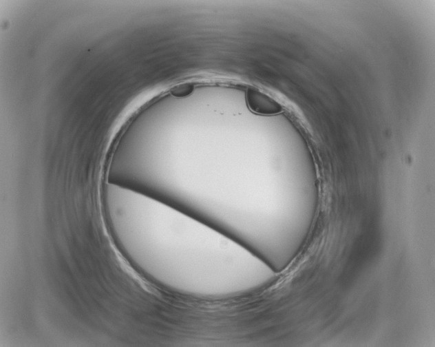 X0000082201231200701191042