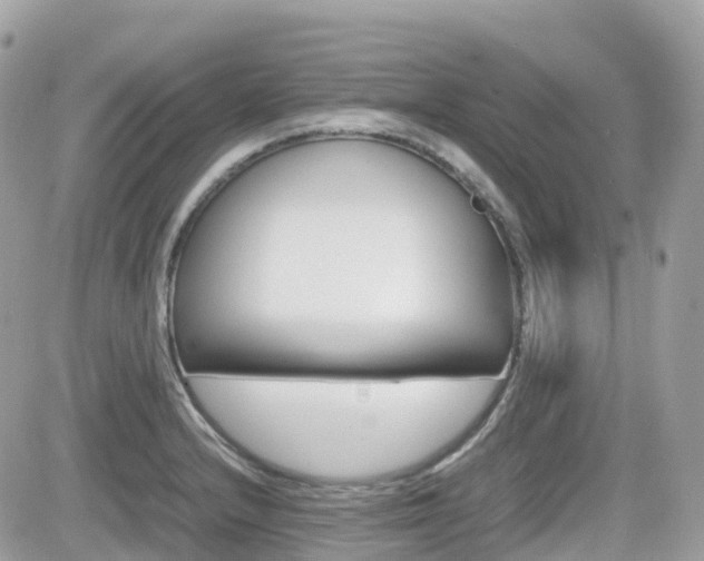 X0000082201232200701191042