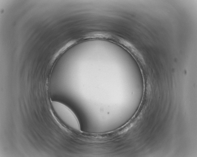X0000082201233200701191042