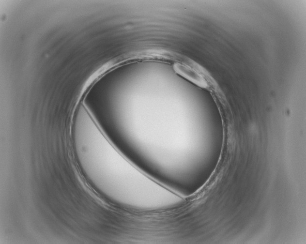 X0000082201234200701191042