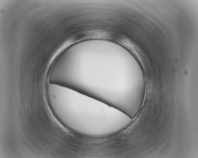 X0000082201235200701191042