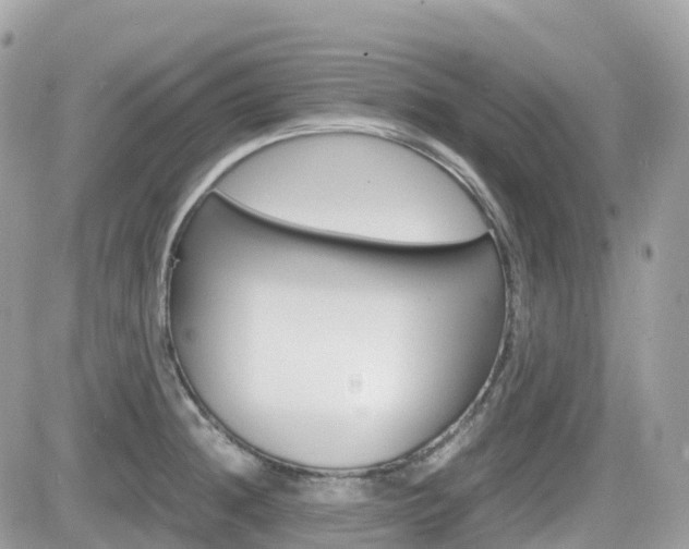 X0000082201236200701191042