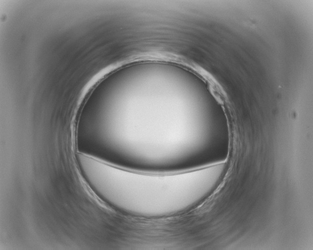 X0000082201238200701191042