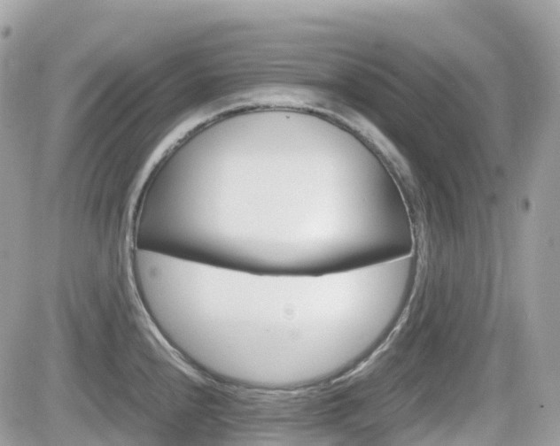 X0000082201240200701191042