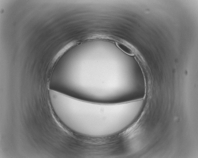 X0000082201241200701191042