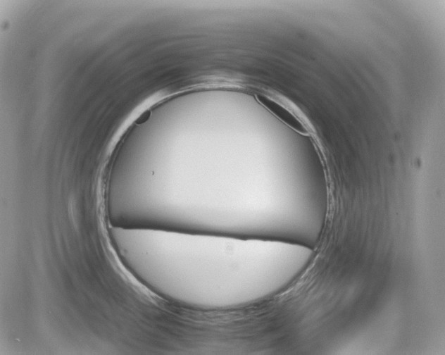 X0000082201243200701191042
