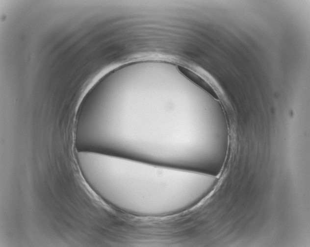 X0000082201244200701191042