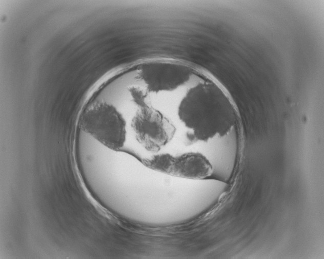X0000082201245200701191042