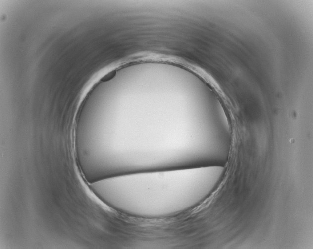 X0000082201247200701191042