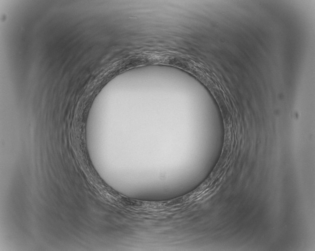 X0000082201249200701191041