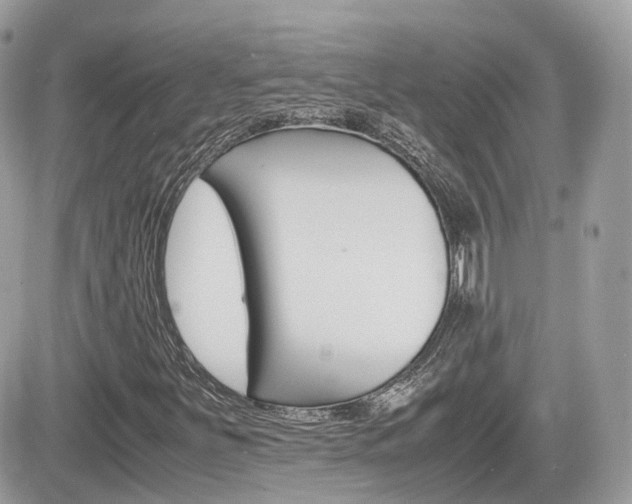 X0000082201251200701191041
