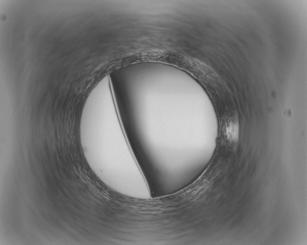 X0000082201252200701191041