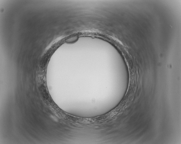 X0000082201255200701191041