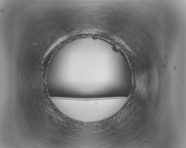 X0000082201256200701191041