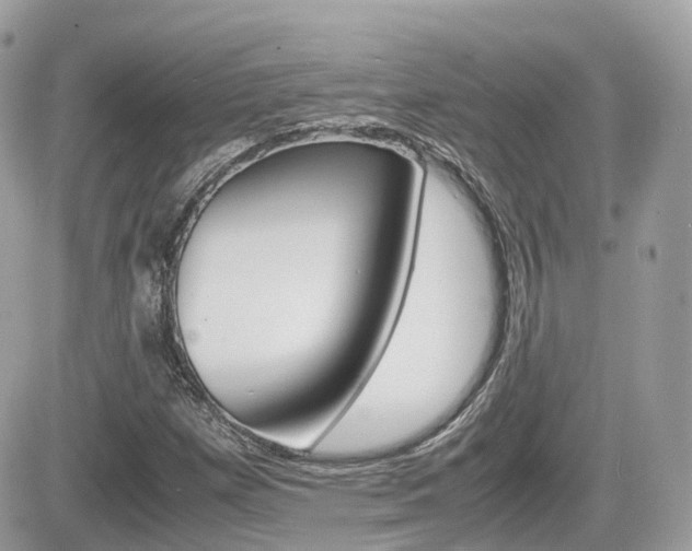 X0000082201257200701191041