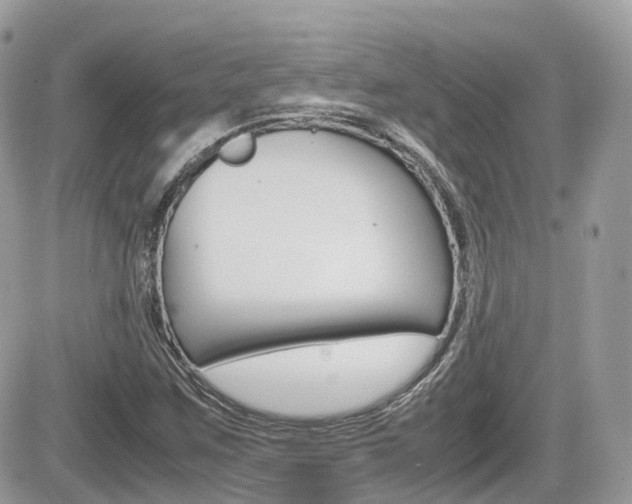 X0000082201259200701191041