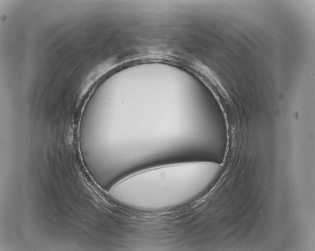 X0000082201260200701191041