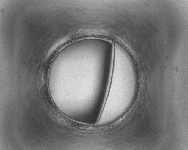 X0000082201261200701191041