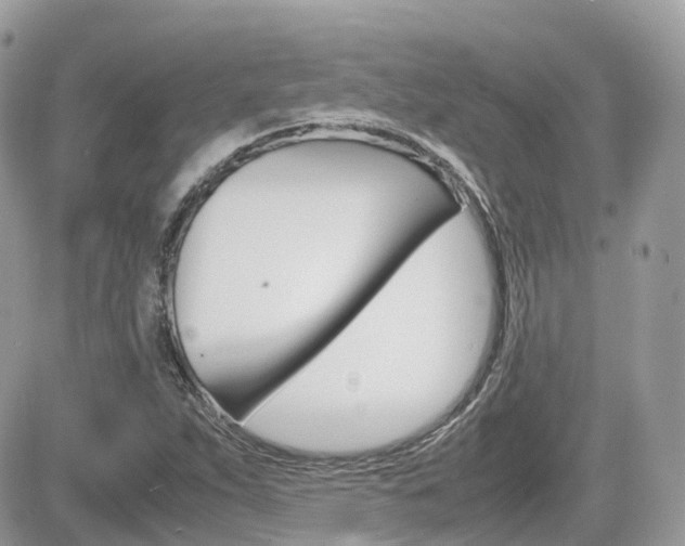 X0000082201263200701191041