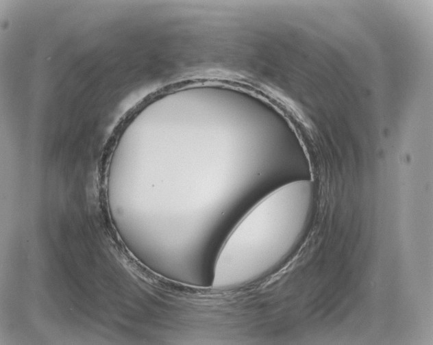 X0000082201264200701191041