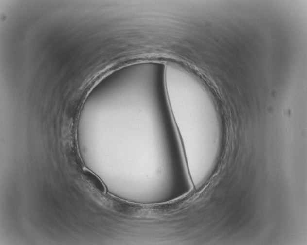 X0000082201265200701191041