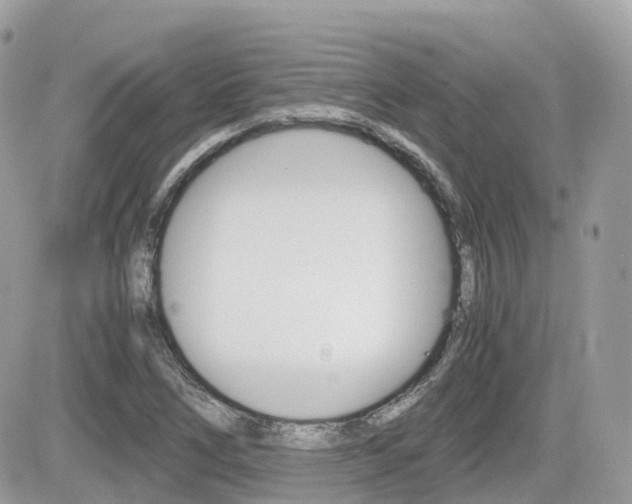 X0000082201266200701191041