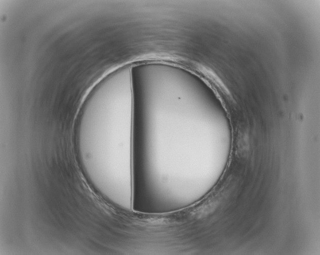 X0000082201268200701191041