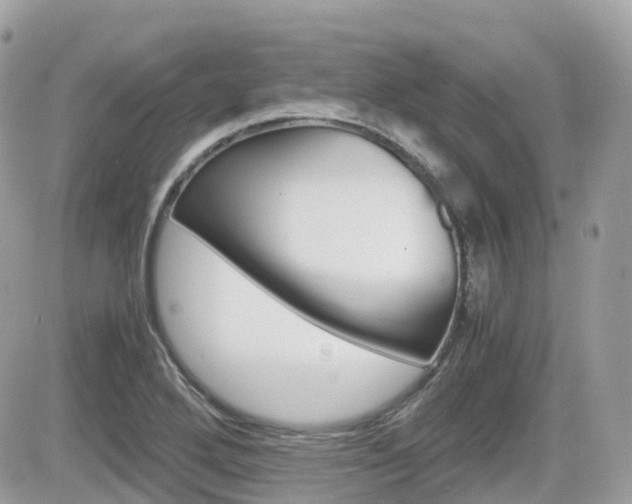 X0000082201272200701191041